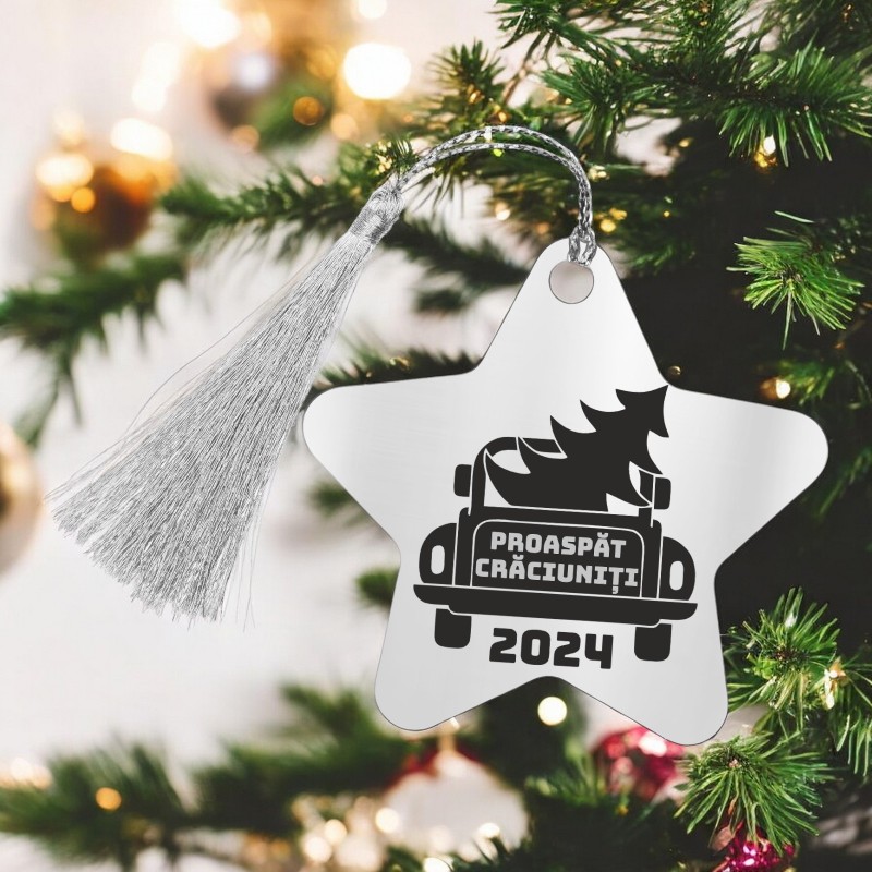                  Decoratiune Personalizata Craciun Stea Inox Argintiu Craciuniti
               