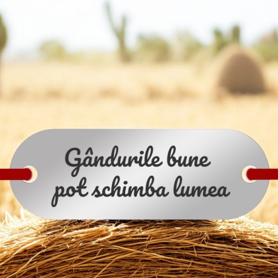 Bratara Personalizata Elastic negru Placuta Inox Argintiu Ganduri