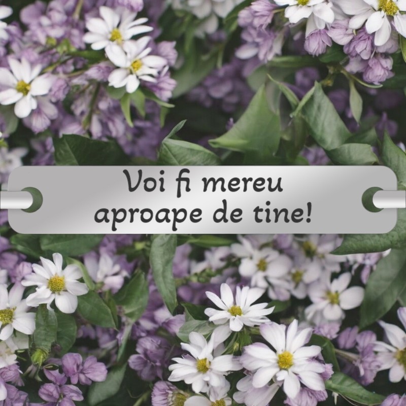                  Bratara Personalizata Lantisor Placuta Subtire Inox Argintiu Aproape
               