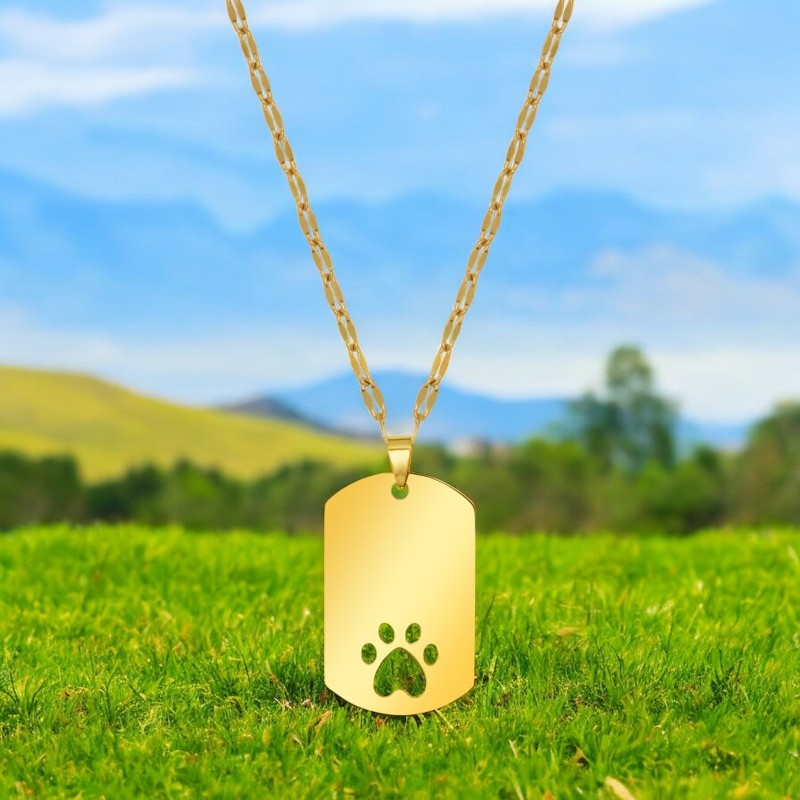                  Colier Personalizat Army Labuta Inox Auriu Cum Vrei Tu
               