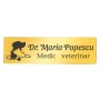 Ecuson Personalizat Inox Auriu Nume Doctor Veterinar