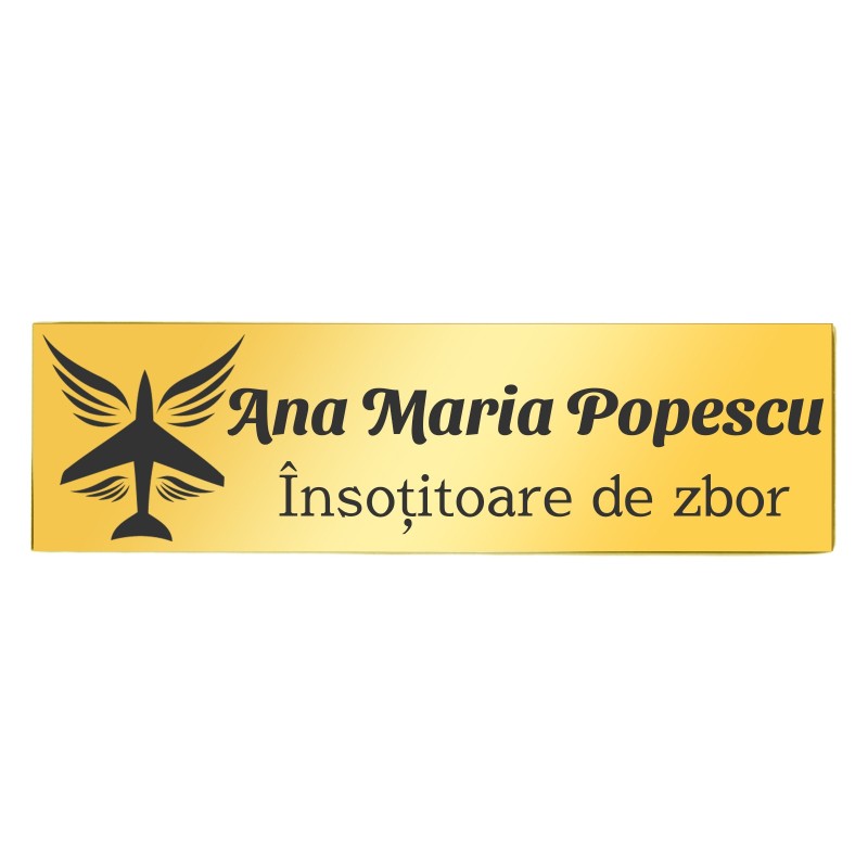                  Ecuson Personalizat Inox Auriu Nume Insotitor de Zbor
               