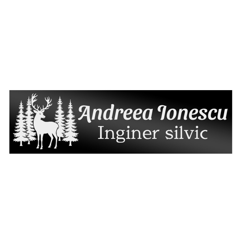                  Ecuson Personalizat Inox Negru Nume Inginer Silvic
               