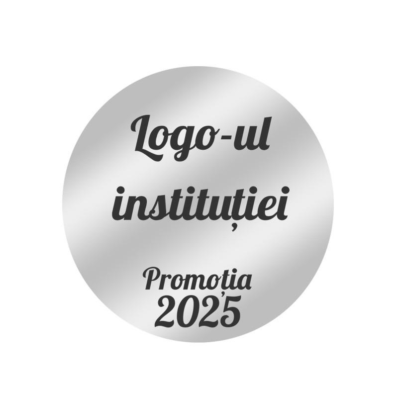 Insigna Personalizata Inox Argintiu cu Pietre An si Logo Institutie