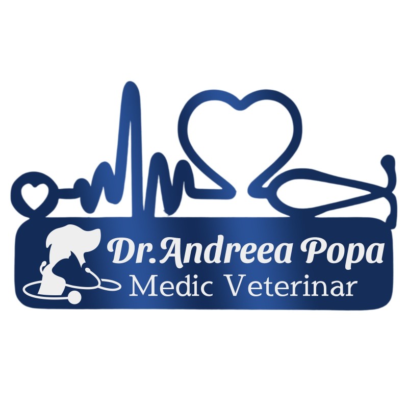 Ecuson Medical Personalizat Inox Albastru Medic Veterinar