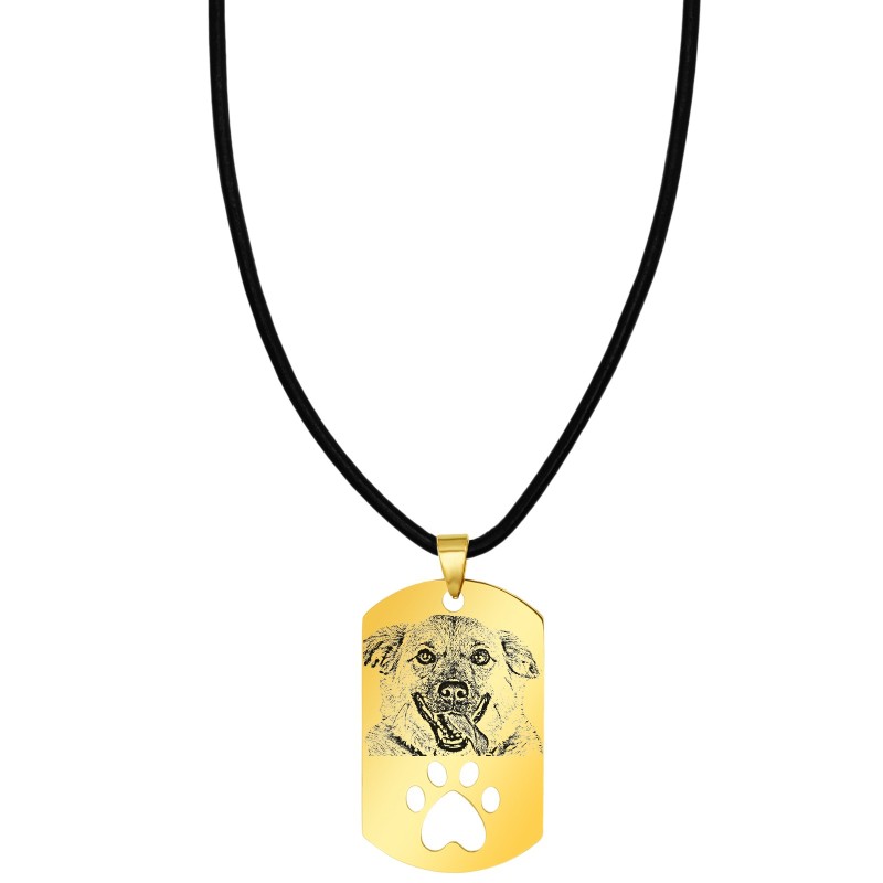 Colier Personalizat Army Labuta Inox Auriu Piele Lantisor Poza Pisica Caine