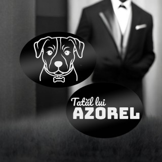 Butoni personalizati Oval Inox Negru Iubitor de animale